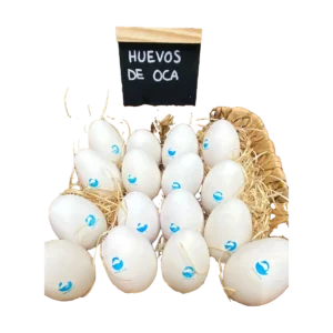 Huevos de Oca Pinaroca - Gourmet y Naturales